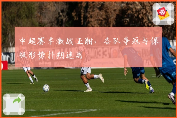 中超赛季激战正酣，各队争冠与保级形势扑朔迷离